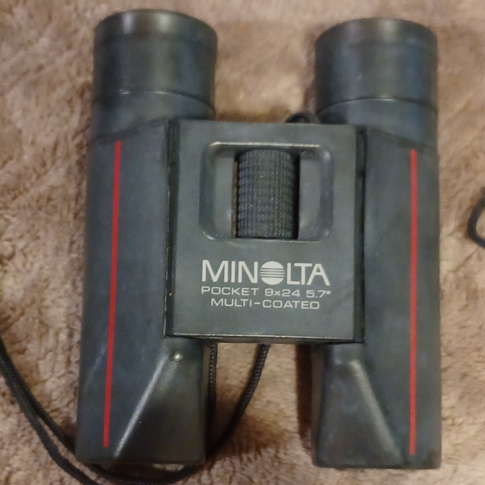 Binoculars pocket binocular good for sprorting events concerts, plays. Minolta